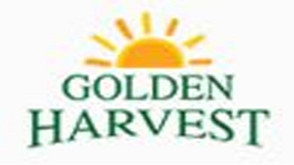 Golden Harvest--